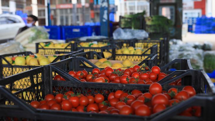 Antalya ihracatının yüzde 61’i tarımdan